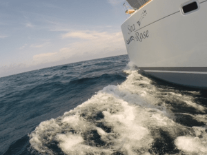 Sea Rose cruising